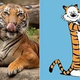 Illustration for article titled Cats vs. Dogs: Ladies And Gents, Meet Your Elite Eight